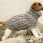 Sitemapcdatahttpsshopinf Inetcomtricoter Un Manteau Pour Chien Modele Gratuit