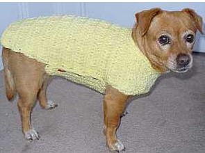 tricoter un manteau petit chien en anglais