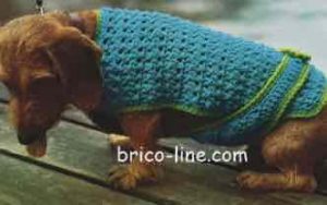 Tricoter un manteau petit chien