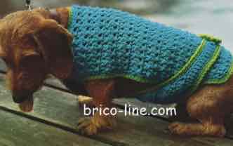tricoter-manteau-chien-crochet-mod-les-gratuits-mode-laine