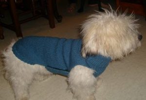 manteau chien côtes et jersey